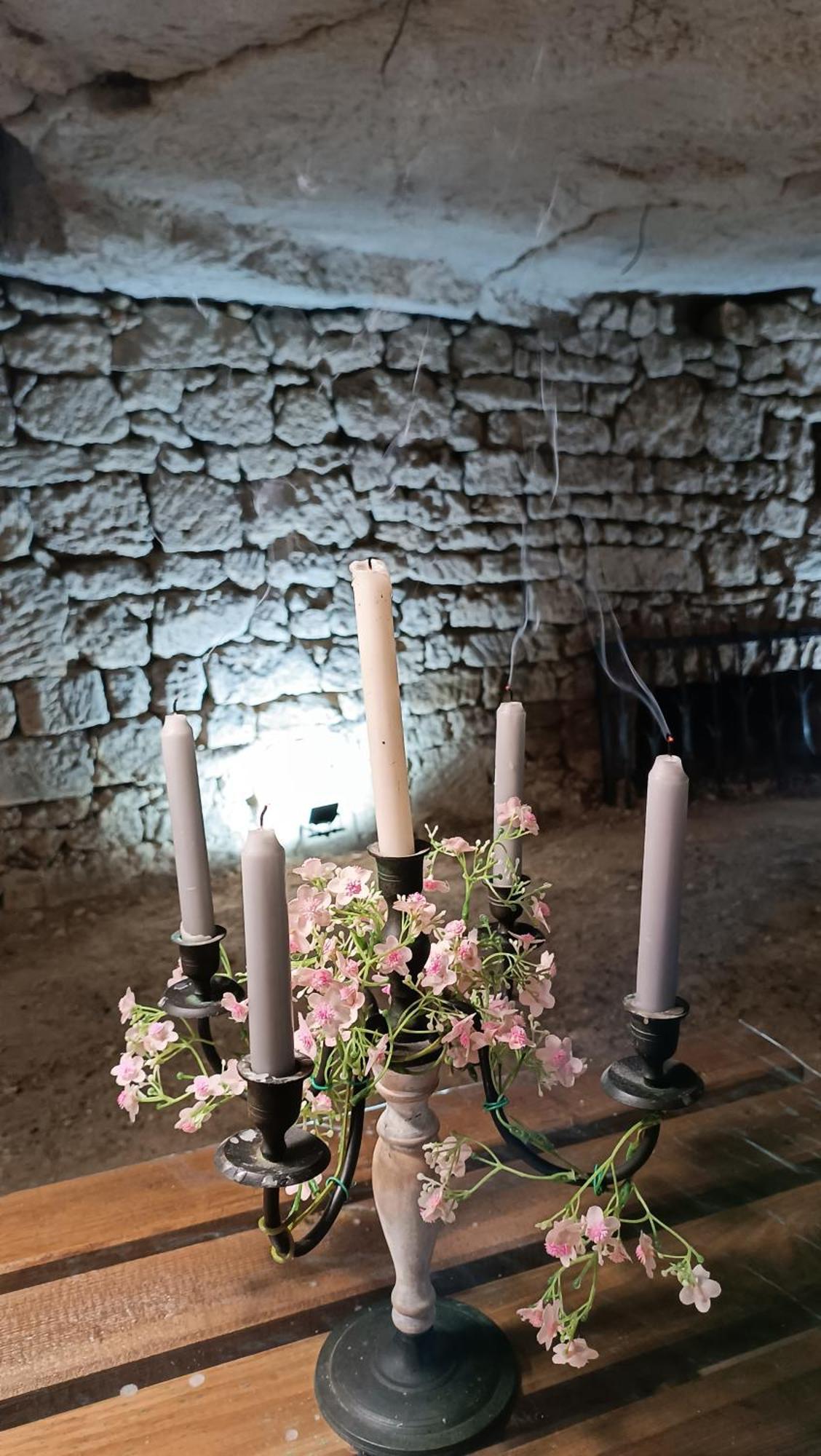 Meuble De Tourisme Petit Chail Saint Savinien Екстериор снимка